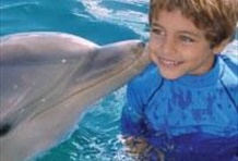 Ocean World Dolphin Encounter